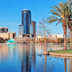 Orlando Tourists Seek The Mouse and Airbnb Sublet